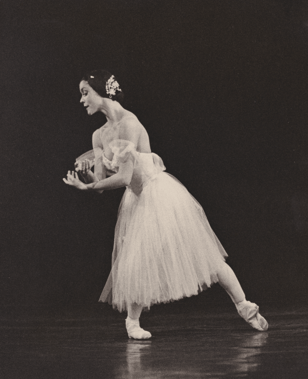 Private online ballet coaching session with professional instruction