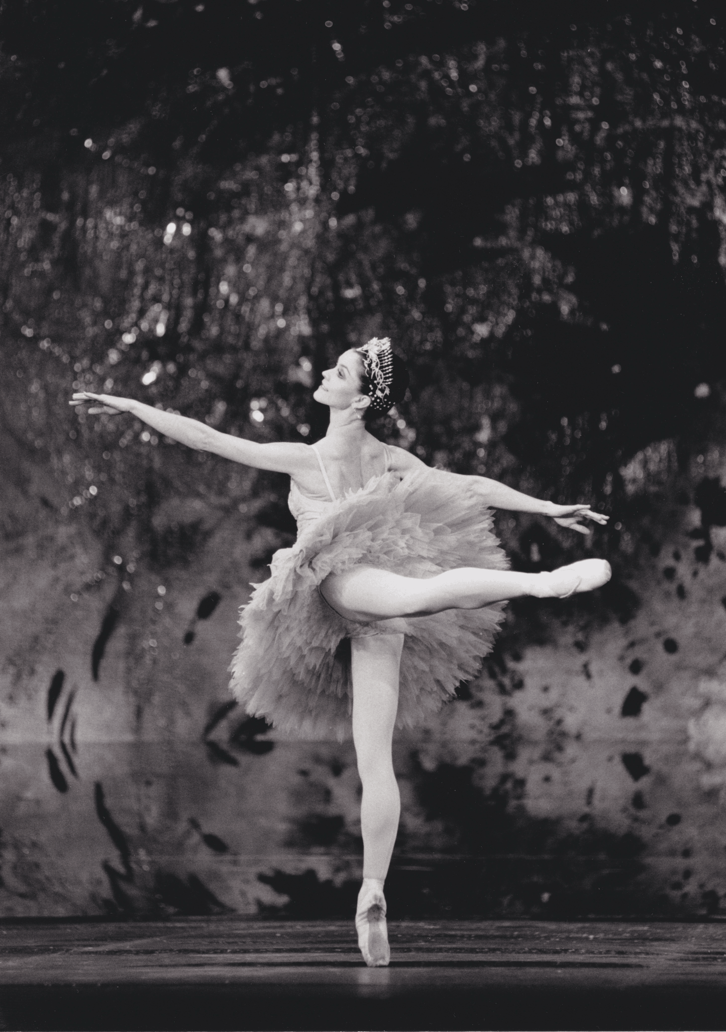 In-person ballet training sessions in Auckland studio